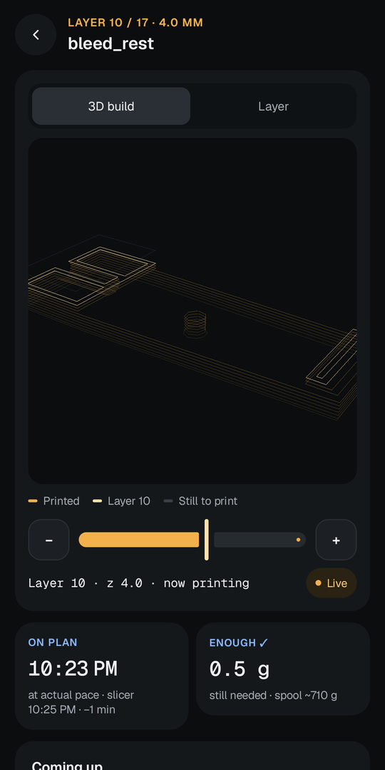 Print details with the 3D build view